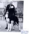 Eng. Ch. Winjones Ermolai & Mrs. Chadwick