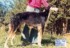 Anastatia-2 years old