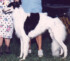 Coco Prokofiev-2 years old