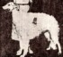 Kuban Kuzma
