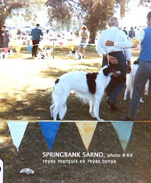 Springbank Sarno