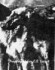 Aureola of Llanfair