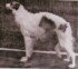 Reyas Marquis