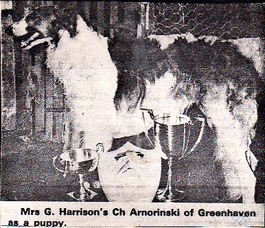 Arnorinski of Greenhaven