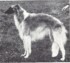 Majkop