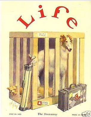 1925 Life magazine cover