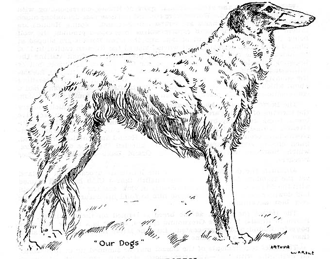 Arthur Wardle 'Our Dogs'