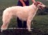 Tanins Foxy Lady