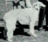 Mazar Zorka