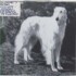 loral's alpha nicholai