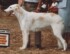moonglow tsepa