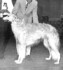 midas of sunbarr