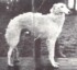 Vera