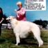 Tuffy