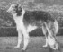 picture of FLAY URAL
