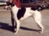 Coco 2 years