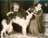 Martha