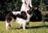 Miskat Maladetz at 7 years