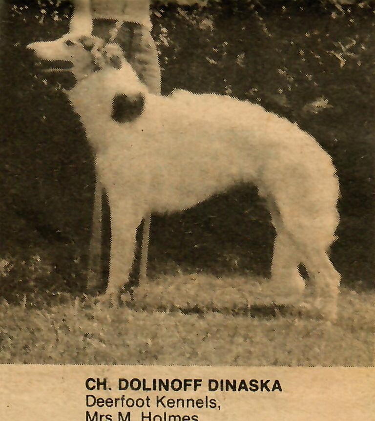 Ch Dolinoff Dinaska