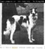 Lennox Count Leo Tolstoy