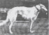Lennox General Orloff