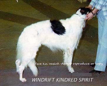 windrift kindred spirit