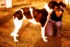 Boronoff Battilio as puppy