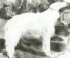 Lausanne Snowbell