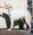 Maya of Fortrouge