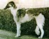 Assunta