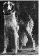 Jasba