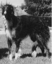 Zoe