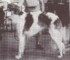 Tzar