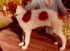 Mishkova Monica as a baby