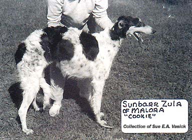 sunbarr zula