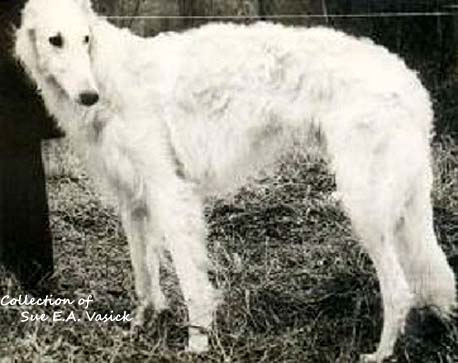 Sadko