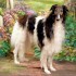 Nicky at 5-Yrs. Old