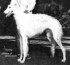 kislov