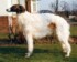 Ryazan Byron 13 months