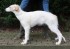 Ryazan Verdi 15 weeks