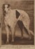 Ostrand_1
