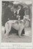 Petrose