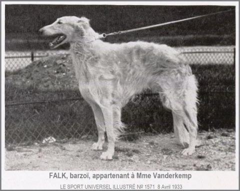 falk