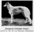 lebedka