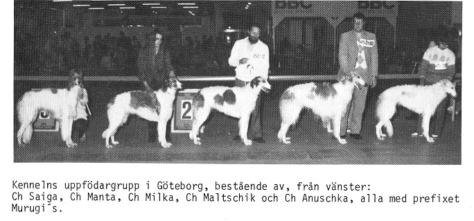 Murugi_grupp