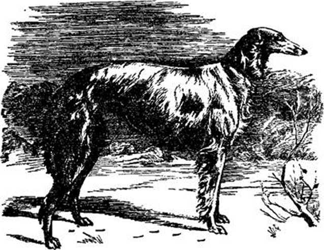 Chebyshov