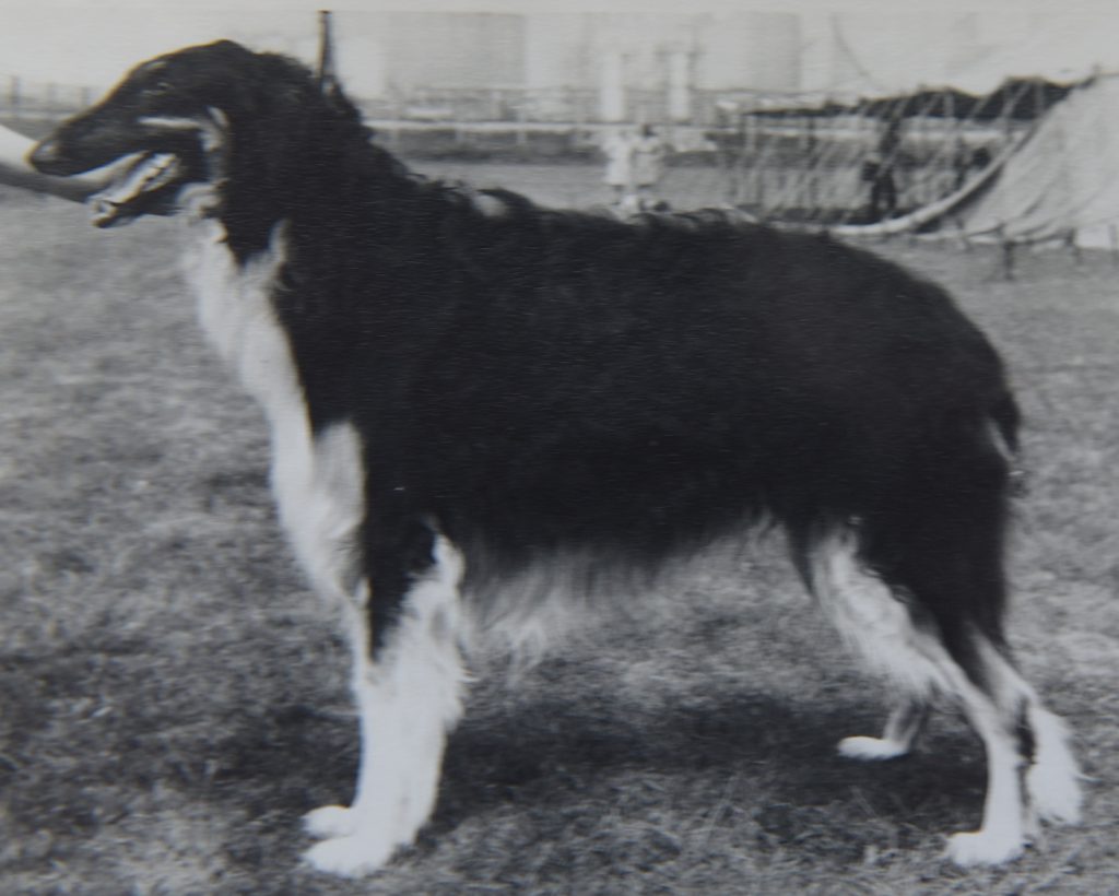 Gueroi