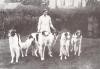 Miss Robinson with a group of borzoi