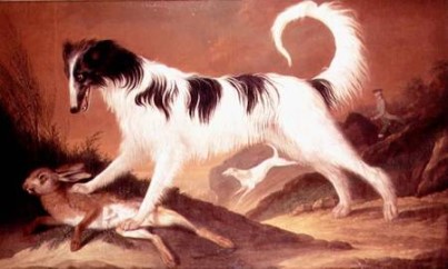 dog and hare
